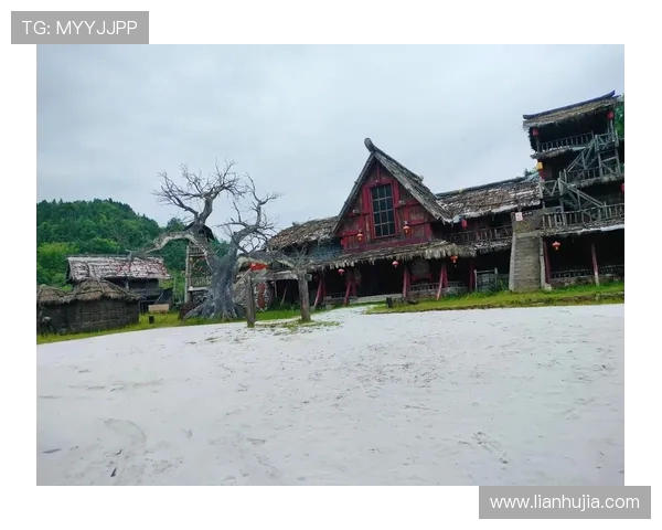 致命游戏中凌久时的作用与价值解析帮助玩家全面理解角色定位